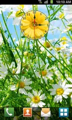 Baixar Daisy Clock Live Wallpaper APK