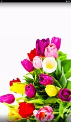 Baixar Flower Clock Live Wallpaper APK