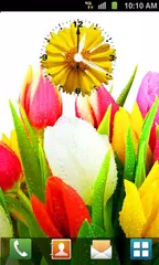 Baixar Flower Clock Live Wallpaper APK