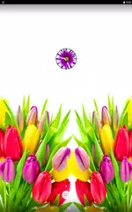 Baixar Flower Clock Live Wallpaper APK