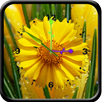 APK Flower Clock 1