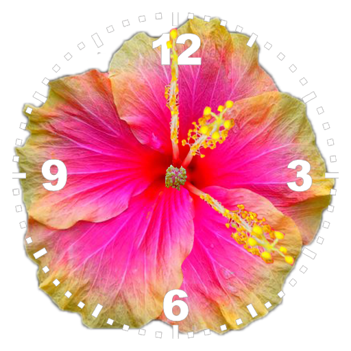 Hibiscus Clock
