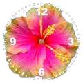 Hibiscus Clock LWP