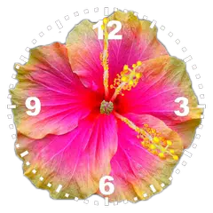 download Hibiscus Clock APK