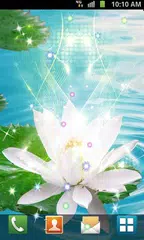 Lotus Live Wallpaper APK Herunterladen