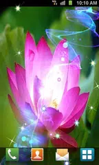 Lotus Live Wallpaper APK Herunterladen
