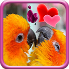 Love Birds Live Wallpaper ikona