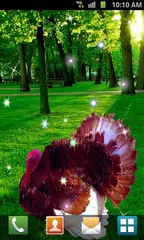 Thanksgiving Live Wallpaper APK Herunterladen