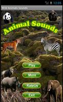 Wild Animals Sounds پوسٹر