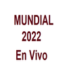 Ver Mundial 2022 en vivo APK