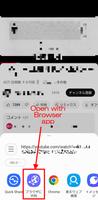 Open with Browser screenshot 1