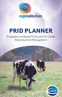 Prid Planner-poster