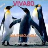 Viva 80