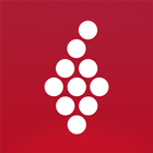 Vivino 图标