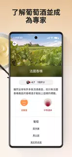 Vivino: 每次都購買合適的葡萄酒