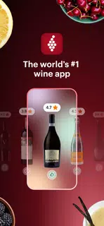 Vivino: Drink the Right Wine