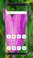 Launcher & Theme For Vivo Y93. Icons For Vivo Y93 ảnh chụp màn hình 2