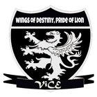 V.I.C.E. icon
