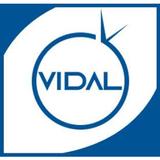 VIDAL TV ikona
