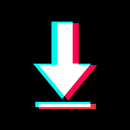 TikSnap: TT Video Downloader APK