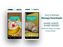 Video Downloader for Whatsapp imagem de tela 1