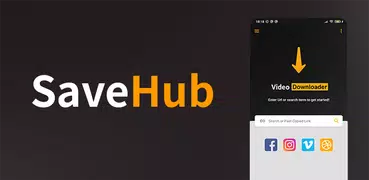 Video Downloader Hub Browser