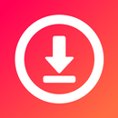 Story Saver - Video Downloader APK