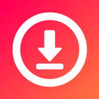 Story Saver - Video Downloader icône