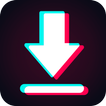 SnapTok: TT Video Downloader