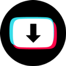 Vidéo télécharger pour tiktok APK