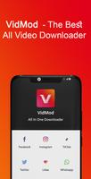 VidMod โปสเตอร์