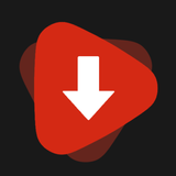 Video Downloader Master