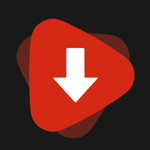 Video Downloader Master icon
