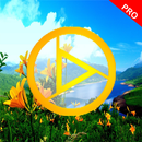 Video Live Wallpaper Maker Pro APK