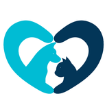 Videos de animales divertidos