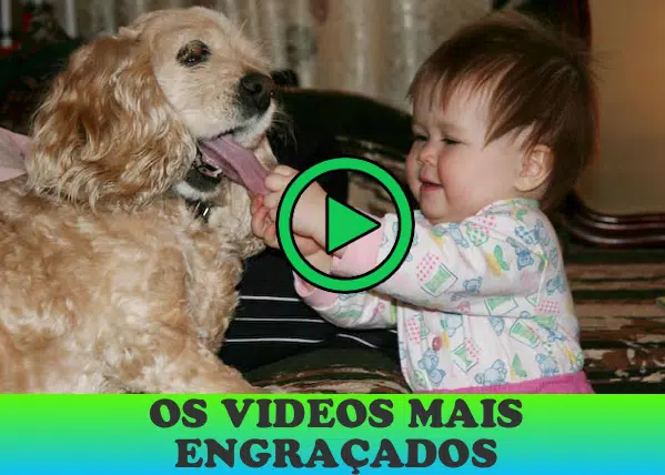 Videos engraçados para rir