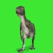 Videos Pantalla Verde Effects
