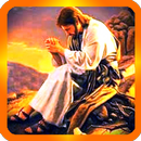 Biblical videos to reflect APK