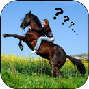 lustige lachende videos APK