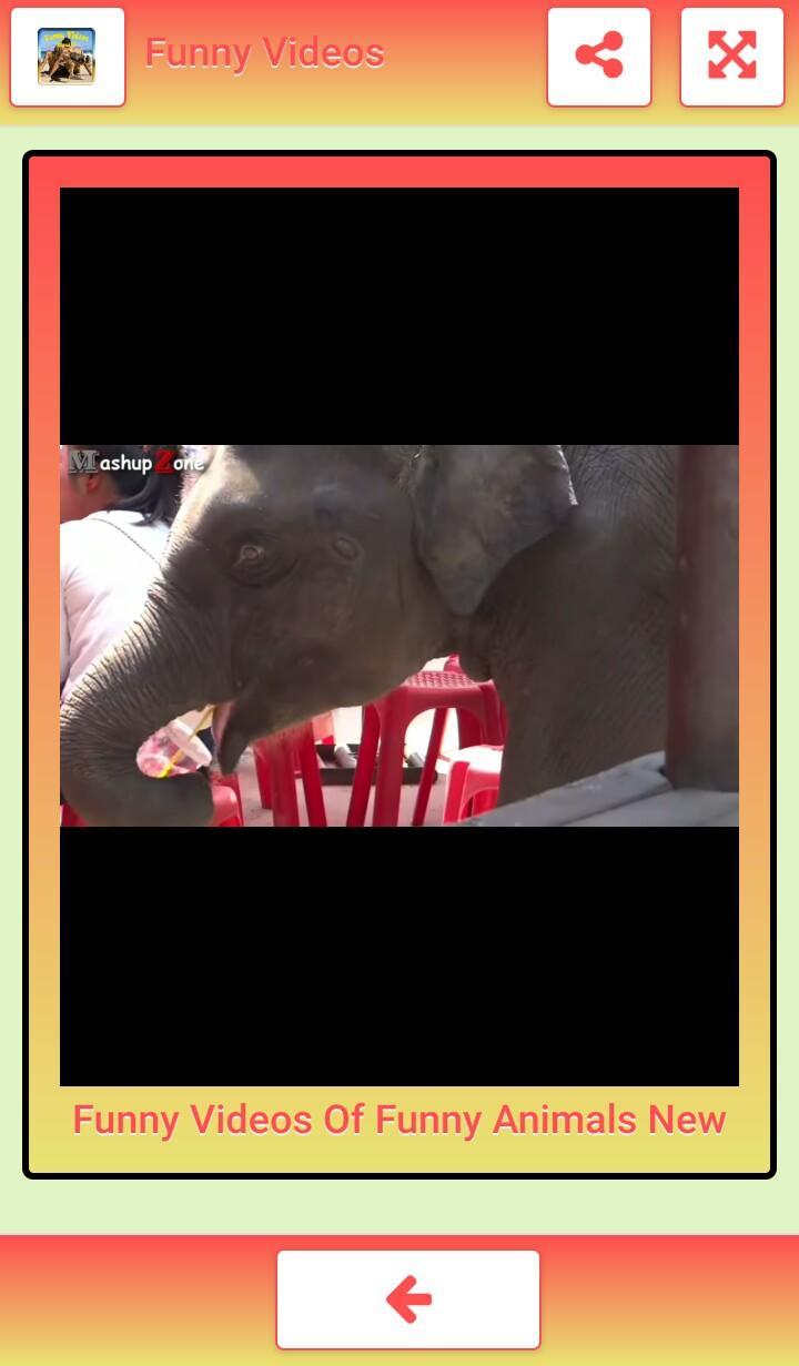 Lustige Videos Fur Android Apk Herunterladen