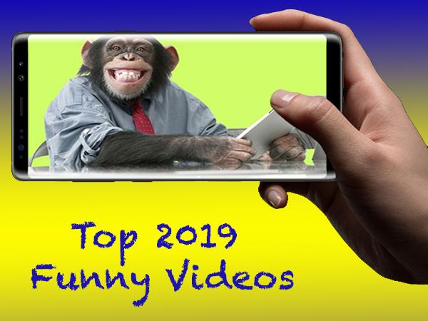 Video Lucu 2019 for Android APK Download Video Lucu 2019 for Android APK Download
