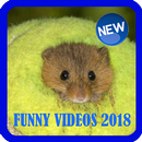 Free Laughter Videos Best Gifs APK
