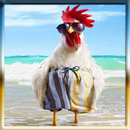 Funny videos APK