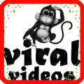 Viral videos 2018 for free