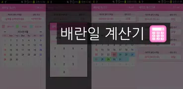 배란일 계산기