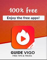 Vigo Video Guide Affiche