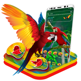 Macaw Parrot Theme