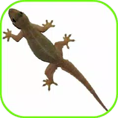 Lizard Fall APK download