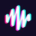 Beat.ly - Music Video Maker with Effects