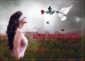 Love Calculator : Valentine's Day Message ảnh chụp màn hình 1